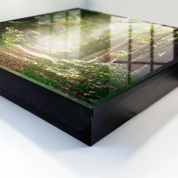 Caja para llaves con diseño de paisaje forestal