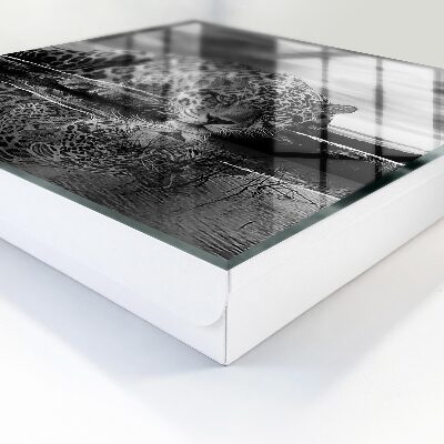 Caja para llaves diseño Jaguares en el agua