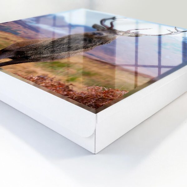 Caja para llaves con diseño de ciervos en las montañas