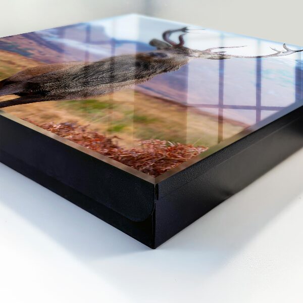 Caja para llaves con diseño de ciervos en las montañas