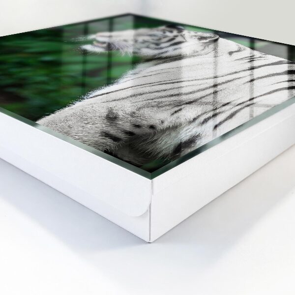 Caja para llaves con diseño de tigre blanco