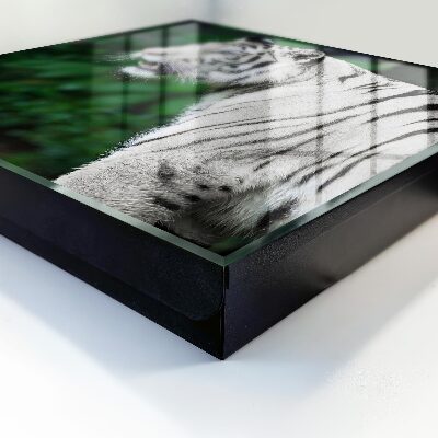 Caja para llaves con diseño de tigre blanco