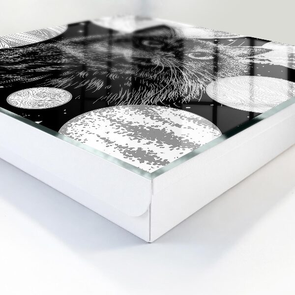 Caja para llaves diseño de gato espacial