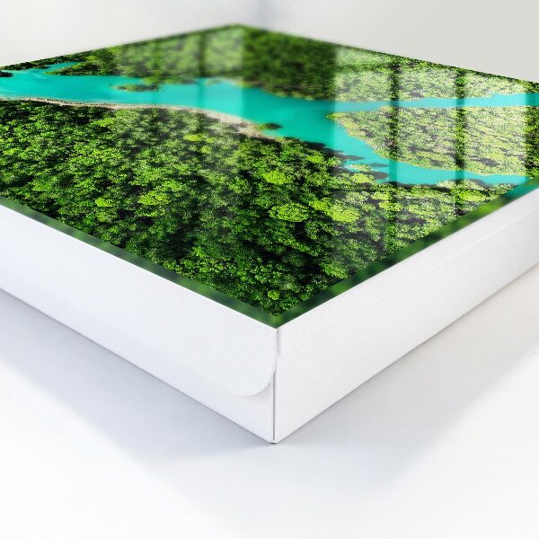 Armario para llaves diseño paraíso verde