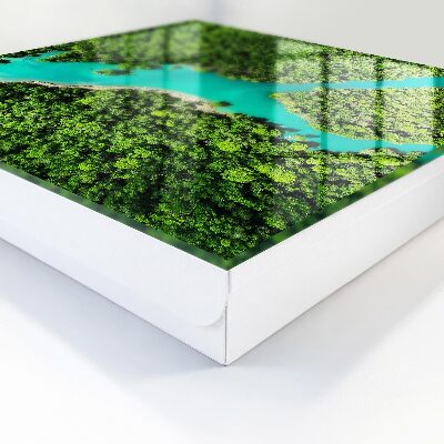 Armario para llaves diseño paraíso verde