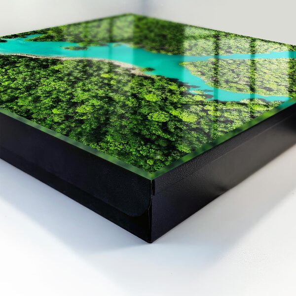 Armario para llaves diseño paraíso verde