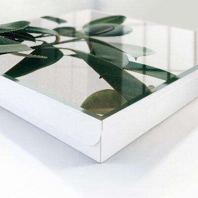 Armario para llaves con diseño de hojas de ficus