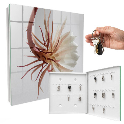Armario para llaves con diseño inspirado en la elegancia de la naturaleza