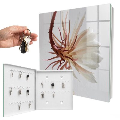 Armario para llaves con diseño inspirado en la elegancia de la naturaleza