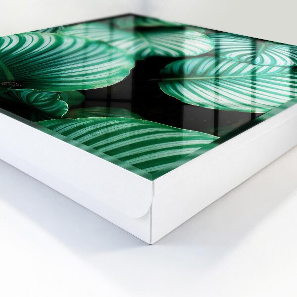 Caja para llaves diseño de hojas verdes