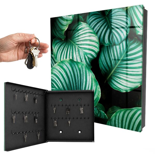 Caja para llaves diseño de hojas verdes