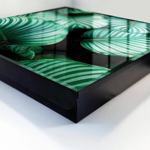 Caja para llaves diseño de hojas verdes