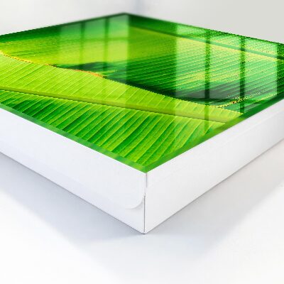 Caja para llaves diseño con el brillo de las hojas