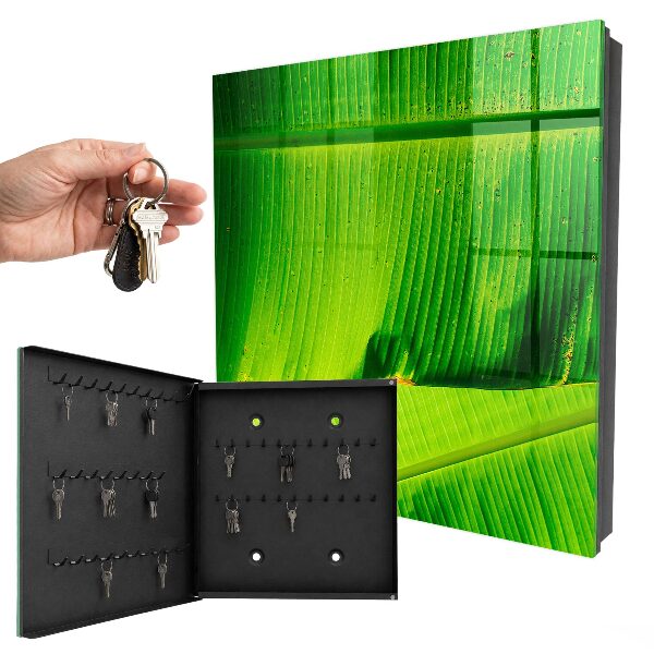 Caja para llaves diseño con el brillo de las hojas