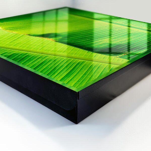 Caja para llaves diseño con el brillo de las hojas