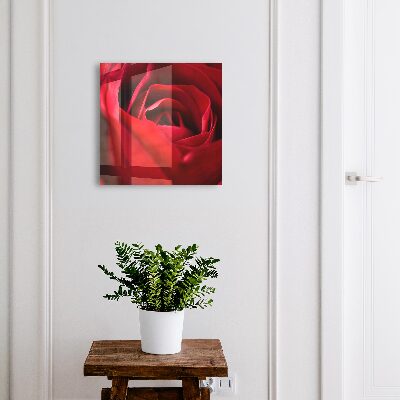 Armario para llaves con diseño de rosa en primer plano