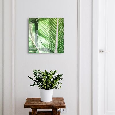 Caja para llaves con diseño de naturaleza