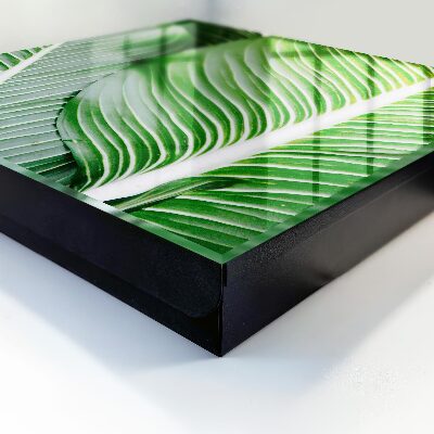 Caja para llaves con diseño de naturaleza