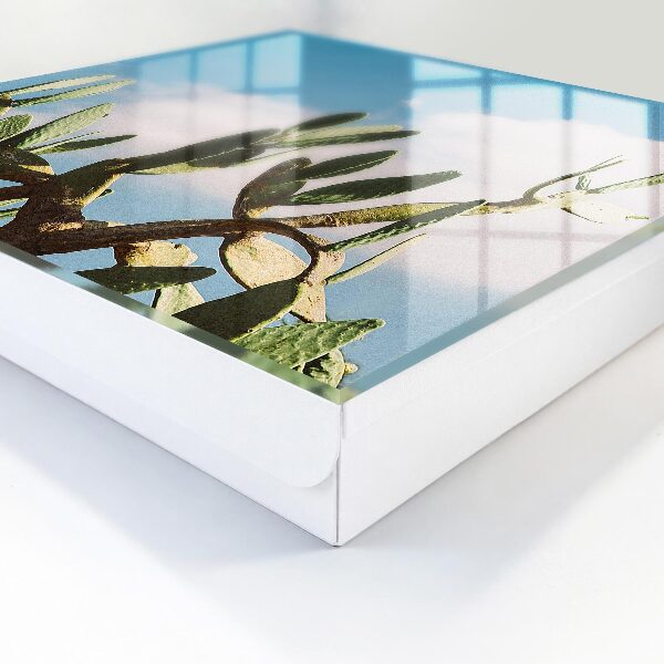 Caja para llaves de diseño cactus verde