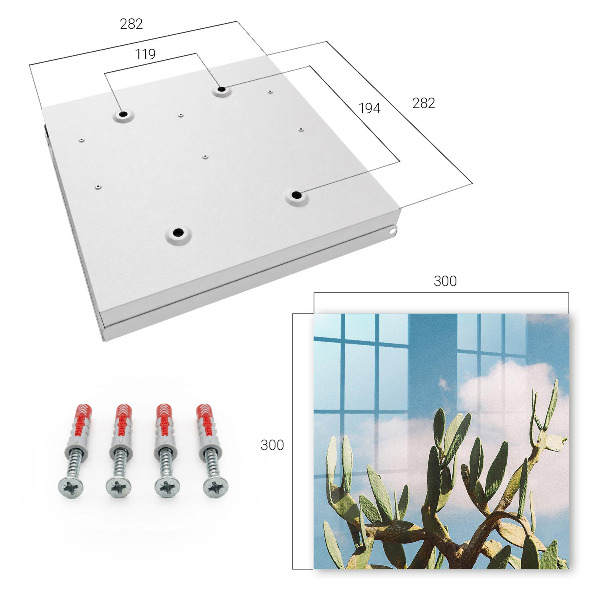 Caja para llaves de diseño cactus verde