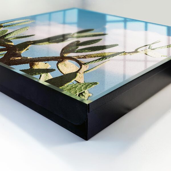Caja para llaves de diseño cactus verde