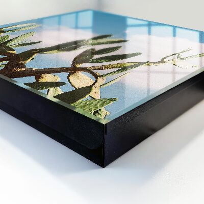 Caja para llaves de diseño cactus verde