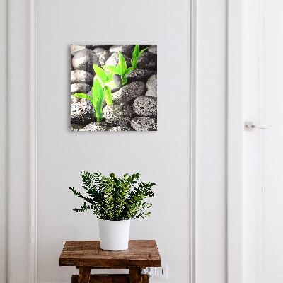 Armario para colgar llaves diseño de naturaleza verde
