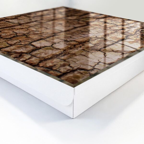 Caja para llaves con diseño de corteza de árbol