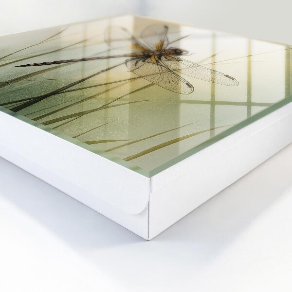 Caja para llaves diseño la naturaleza de la libélula