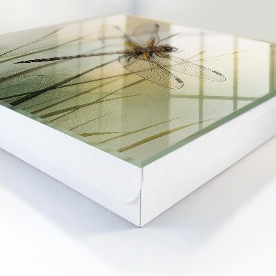 Caja para llaves diseño la naturaleza de la libélula