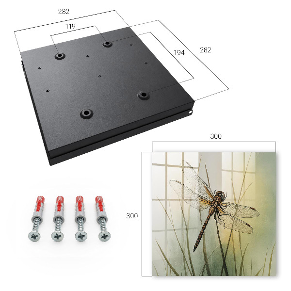 Caja para llaves diseño la naturaleza de la libélula