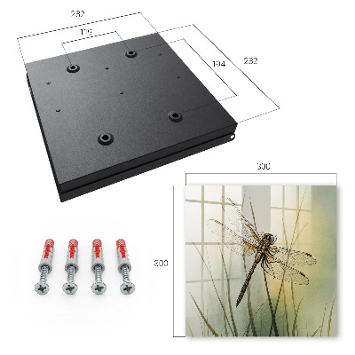 Caja para llaves diseño la naturaleza de la libélula