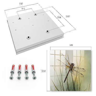 Caja para llaves diseño la naturaleza de la libélula