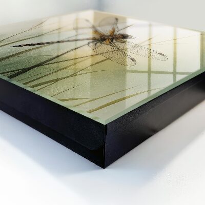 Caja para llaves diseño la naturaleza de la libélula