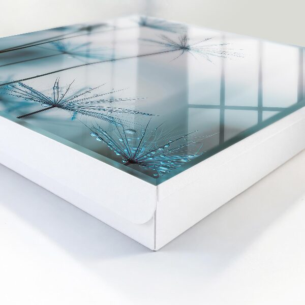 Caja para llaves con diseño de diente de león y rocío