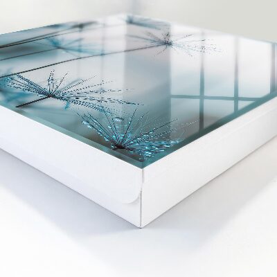 Caja para llaves con diseño de diente de león y rocío