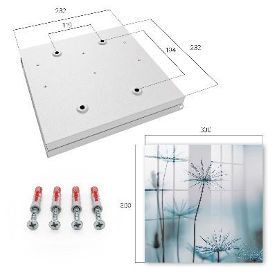Caja para llaves con diseño de diente de león y rocío
