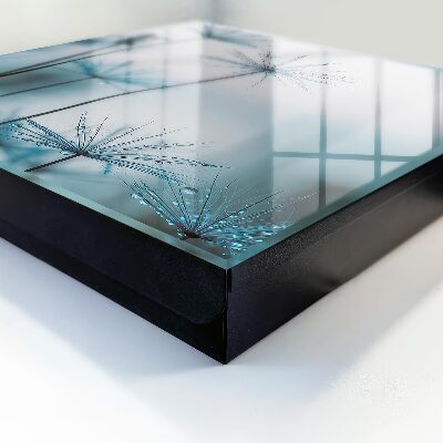 Caja para llaves con diseño de diente de león y rocío