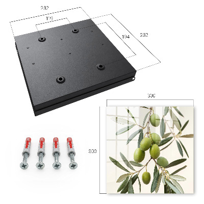Caja para llaves con diseño de rama de olivo