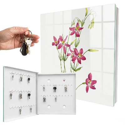 Armario para colgar llaves con diseño de flores rosas