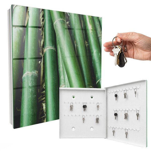 Armario para llaves modelo sala verde