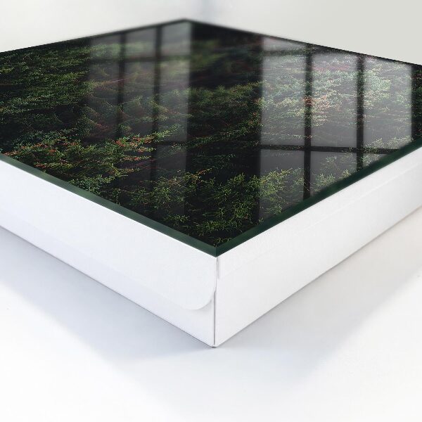 Caja para llaves de diseño bosque verde