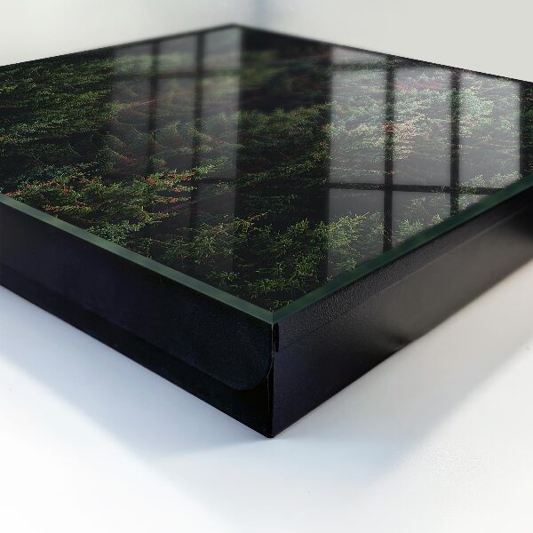 Caja para llaves de diseño bosque verde