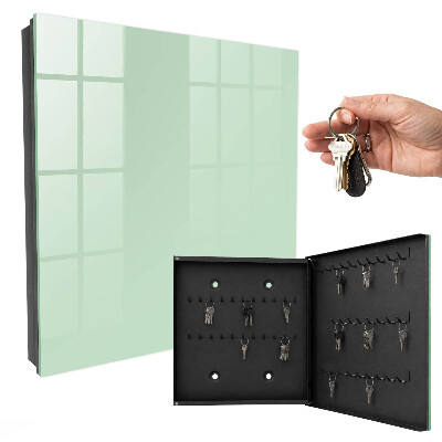 Armario para llaves de pared de color verde menta