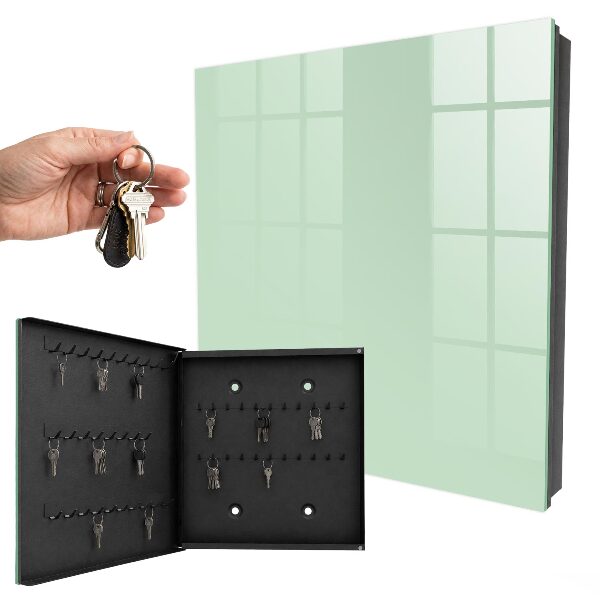 Armario para llaves de pared de color verde menta