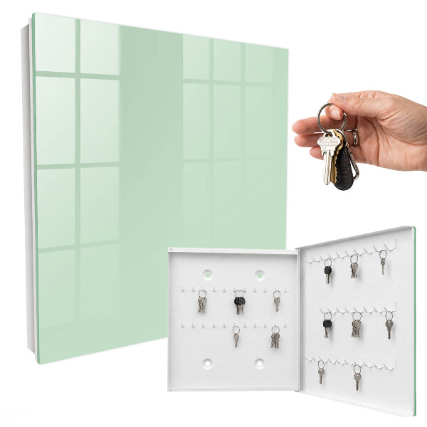 Armario para llaves de pared de color verde menta