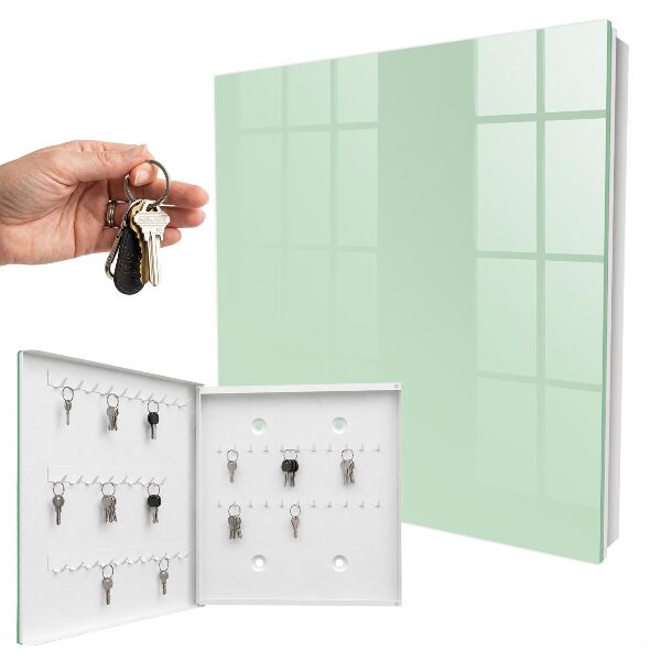 Armario para llaves de pared de color verde menta