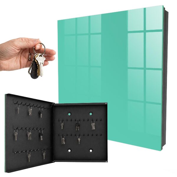 Armario para llaves de color menta fuerte