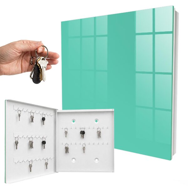 Armario para llaves de color menta fuerte