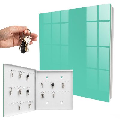 Armario para llaves de color menta fuerte